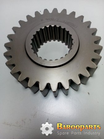 Dana, 4205503
