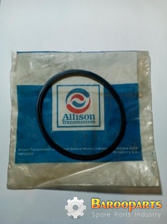 Allison , 29509198
